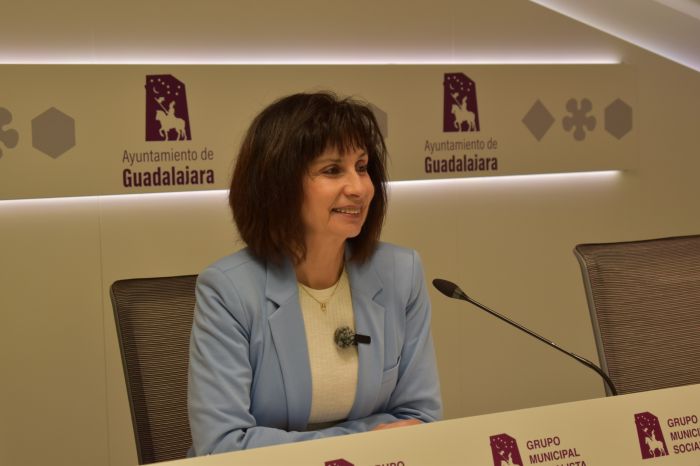 El PSOE acusa a Guarinos de “ocultar la verdad sobre la crisis de Protección Civil” y le pregunta “si ahora mismo existe Agrupación”