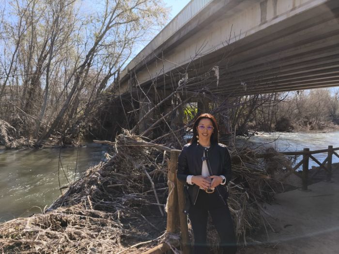 El PSOE pregunta a Guarinos cuándo tiene previsto limpiar el Henares, con miradores rotos y lleno de residuos, o ¿esperará a otra crecida?