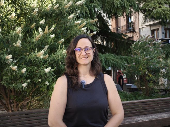 El PSOE pide a Guarinos “que no engañe y hable de proyecto del Alcázar, cuando no está redactado y en dos años sólo tienen una idea”