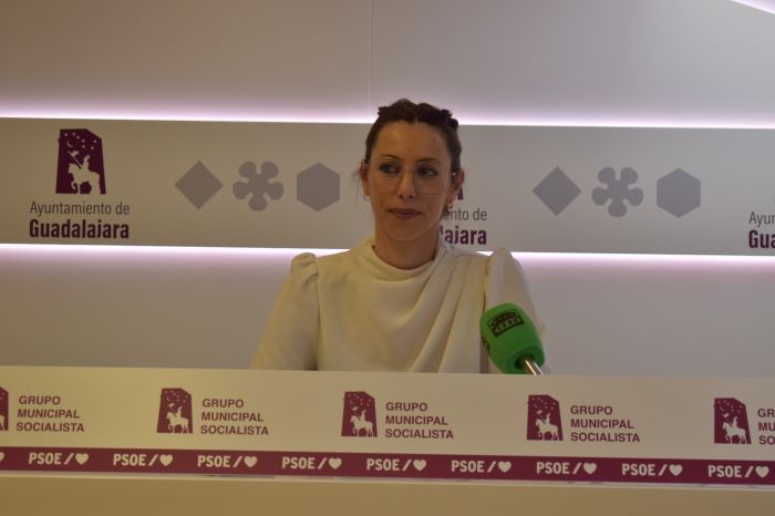 Guarinos elimina más de un millón de euros de educación, juventud o turismo para “premiar” a empresas, como la de limpieza, y la ciudad sucia