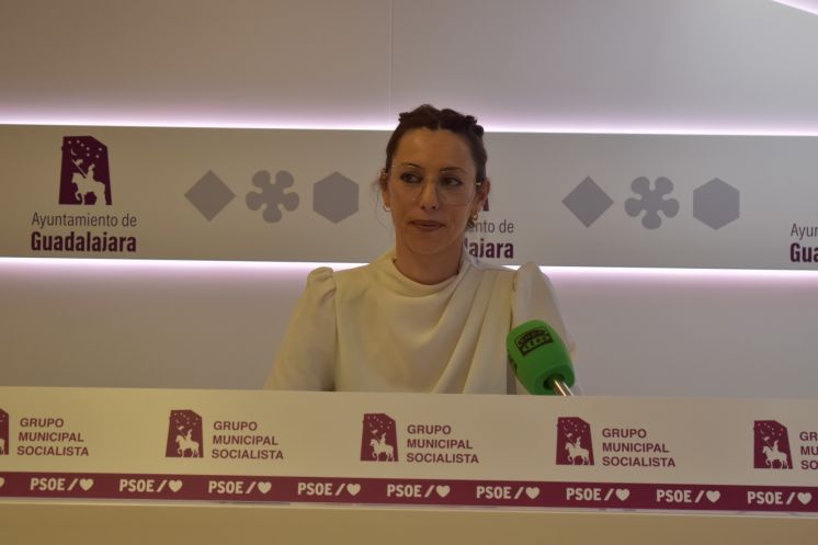 Guarinos elimina más de un millón de euros de educación, juventud o turismo para “premiar” a empresas, como la de limpieza, y la ciudad sucia